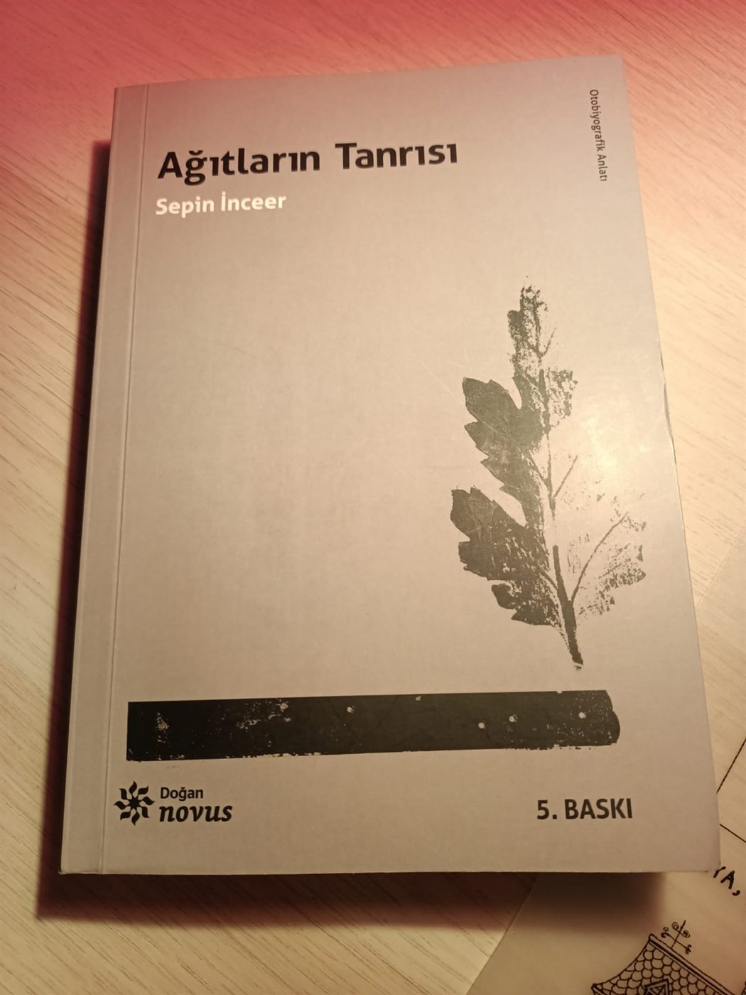 Ağıtların Tanrısı kitabı